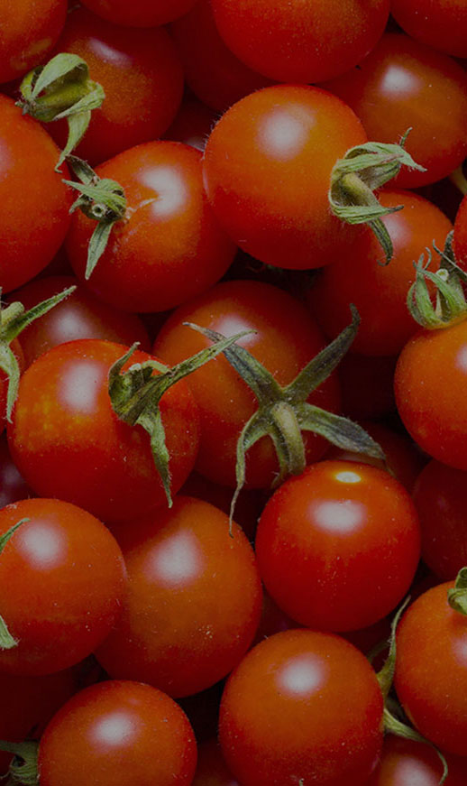 Tres Agaves Ingredients - Tomato