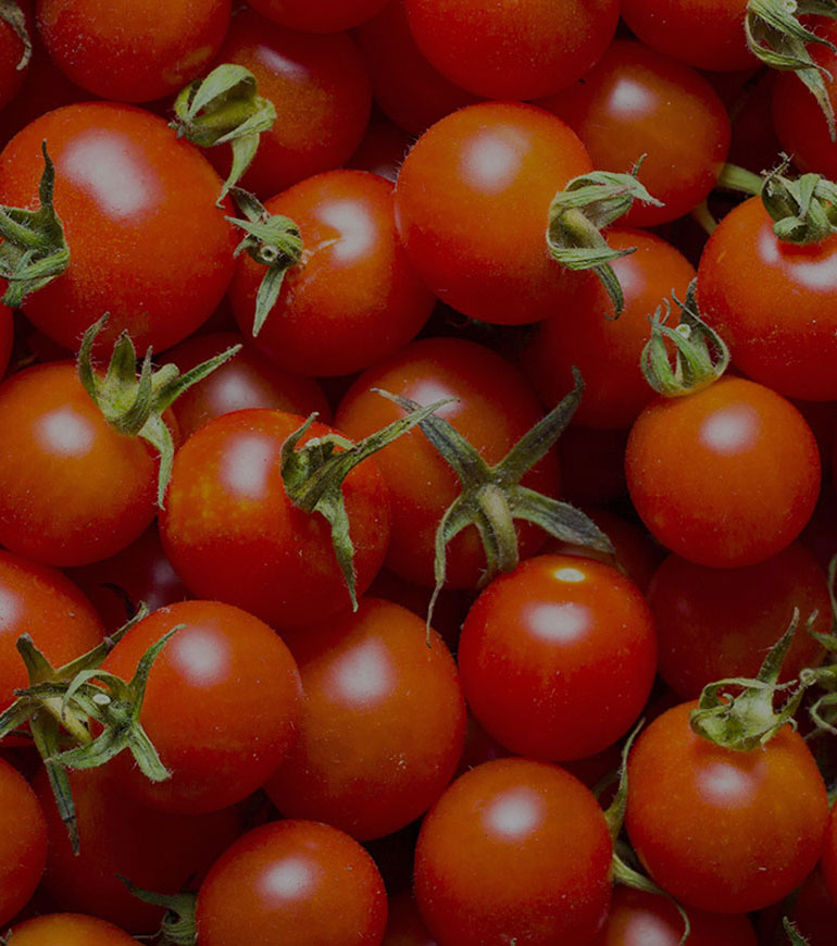 Tres Agaves Ingredients - Tomato